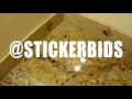Free Stickers in the mail! Video #2