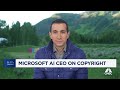 Microsoft AI CEO Mustafa Suleyman on 'Black Box'