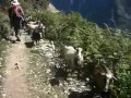 Tiger Leaping Gorge Trek, Lijiang, China