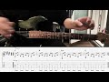 Chowchow - Delispice [ Guitar Playalong with Tab ]