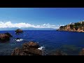 🌊Beautiful Relaxing Music for Mental Peace / Healing Vibrations for Nervous System Restoration