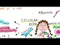 Cellular reprogramming by synthetic biology (CRISPRa & CRISPRi)