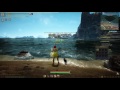 Black Desert Online -  AFK and Auto - Fishing Guide