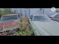 I cut brush at my storage lot... (And found a few cars I forgot I had!) Junkyard Walk Around Tour!