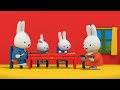 Miffy’s Car Wash! | Miffy | Sweet Little Bunny | Miffy New