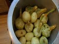 Kitchen: Cleaning the Artichokes