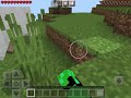 WORLDS FASTED SPEED-RUN OF KILLING A MINECRAFT SHEEP