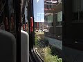 watching the train go by