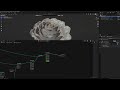 Make Blooming Roses in Blender Geo Nodes