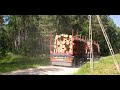 🇵🇱 TUCHOLA FOREST, a walking trail CEKCYN - TLEŃ for those seeking peace and quiet