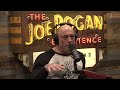 JRE: How Chimpanzees Choose Their LEADERS!