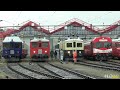 Switzerland's FINEST Historic Locomotives & Railcars - Depotfest Olten 2023 - Crocodile & More !