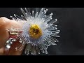 Ide Kreatif Membuat Bunga dari Botol Bekas