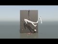 Fracture RAGDOLLS (simulations)