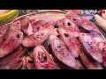 THE LARGEST FISH MARKET IN BATAAN | Orani Public Market