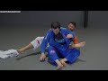 One Handed Attack Series - Episode 2 - Chokes and Armbars!