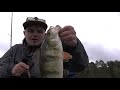 How to catch a big perch