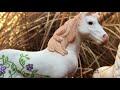 A Unicorn's Legacy - Schleich Horse Short Film