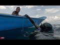 Shoot dog toth tuna gigi anjing monster dari bawah || Spearfishing indonesia