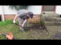 I SAVED this ABANDONED OVERGROWN YARD for MUM and CHILDREN