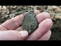 I’m SPEECHLESS! Metal Detecting A VIRGIN COLONIAL Site With The Minelab MANTICORE | Stef Digs