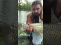 Fishing with corn #fishing #grasscarp #fishingvideo