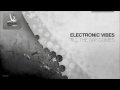 Electronic Vibes - Till The Day Comes [Derailed Traxx Grey]