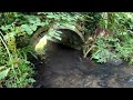 Exploring the Millstream in Storrington- testing new vlogging gear