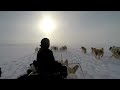 Greenland Dog Sled Race