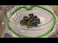 Beyblade UX-01 Dran Buster and UX-03 Wizard Rod Unboxing and Review