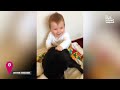 Kids Help Each Other Up on the Horse 🤣 | BEST Animal Videos