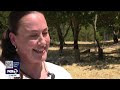 Woman told to stop giving water to homeless | KTVU