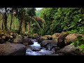 Beautiful Mountain River Flowing Sounds • Forest River • Relaxing Nature Sounds • 1080p