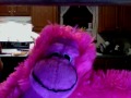 The Purple Gorilla Says HELLO!!!!!!