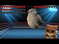 Giant Capybara vs All Cats and Dogs! Meme battle