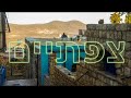 צפת - ניגוני חסידות קרלין סטולין