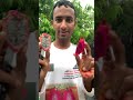 Sweet Dragon fruit Review Bangladesh Sylhet