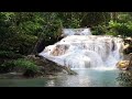 Beautiful Relaxing Music for Stress Relief - Meditation Music, Sleep Music, Ambient Study Music.