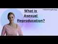 What is Asexual Reproduction? | Biology Definitions
