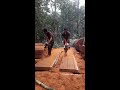 cara belah kayu merbau yang benar ala ANCI&KAMARUDIN