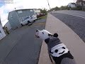 Dog Walks Owner to Park...Twice!