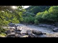 Morning on the River and the Gentle Singing of Spring Birds