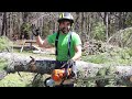 Limbing A Tree Without Getting Stuck | HOW TO