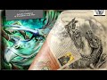 Flipping Pages of Book - Chronicles of Dinosauria Promo Video 5