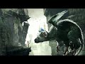 Relaxing The Last Guardian/Shadow of the Colosuss/ICO Music