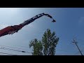 Removal of huge tree over and through power lines!!