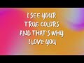 Cyndi Lauper - True Colors (Testo/Lyrics)