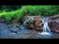 Cute Small Waterfall River Sounds Healing Stress Relief Help Sleeping Well meditation