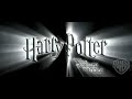 Harry Potter And The Goblet of Fire Dubbed By Me