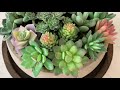 How To Make An Artificial Succulent Arrangement - DIY Step By Step TUTORIAL